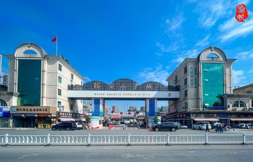 探访温州网红市场 瑞安水产城——水产品琳琅满目，价廉物美与网站建设助力体验升级