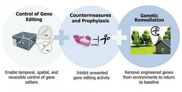 DARPA斥资6500万美元推进基因编辑与神经技术融合，开启高分辨率脑机接口新纪元